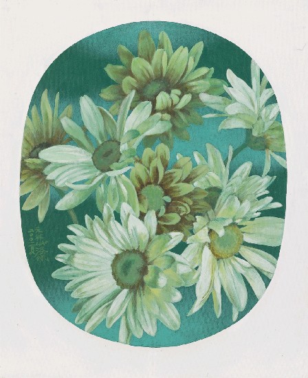 藏品:菊花的(1)張圖片