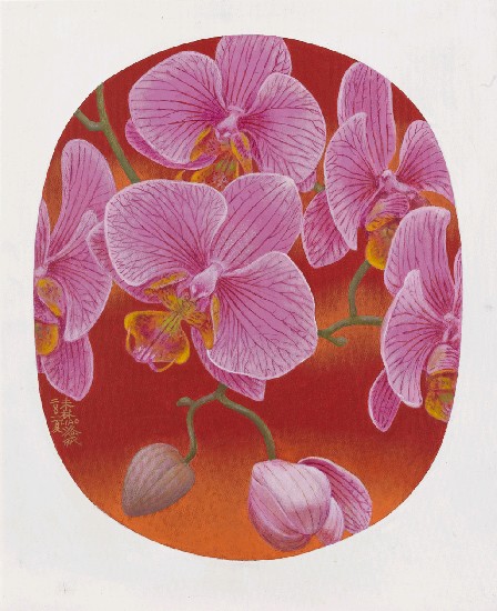 藏品:蝴蝶蘭的(1)張圖片