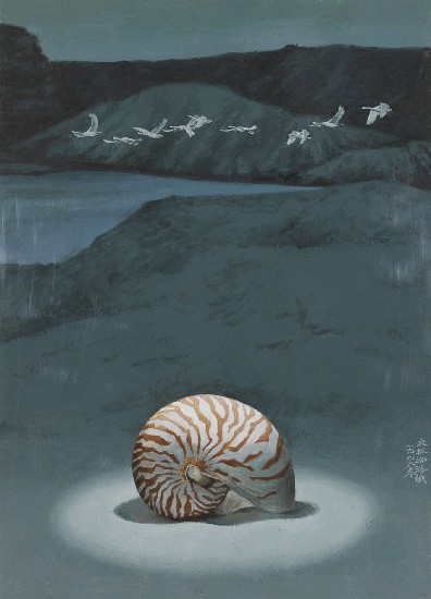 藏品:鸚鵡螺的(1)張圖片