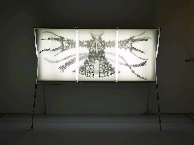 藏品:流雲水袖的(1)張圖片