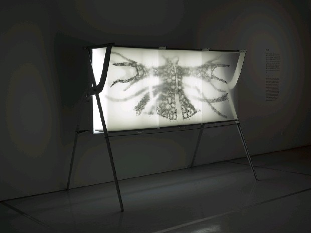 藏品:流雲水袖的(2)張圖片