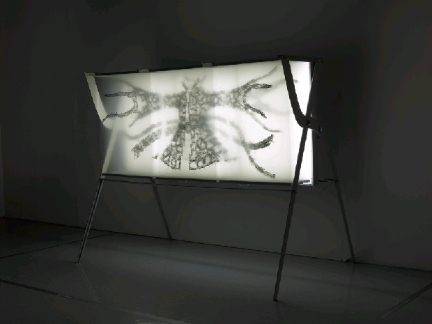 藏品:流雲水袖的(3)張圖片