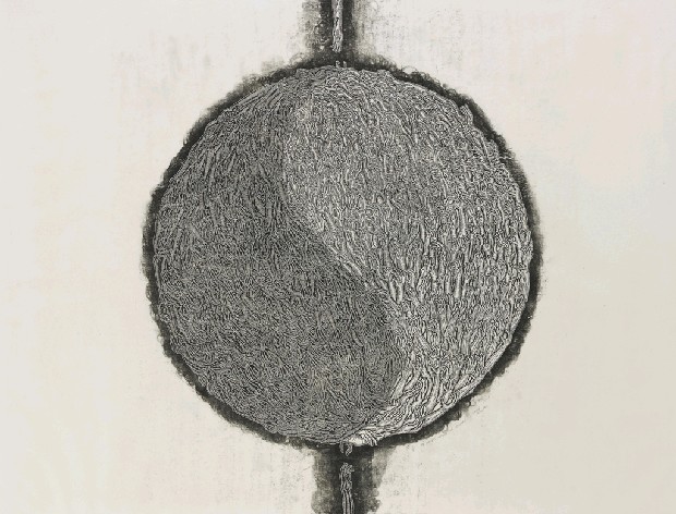 藏品:平衡的無盡追尋的(1)張圖片