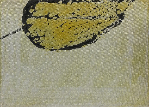 藏品:形象磁場No.3的(14)張圖片