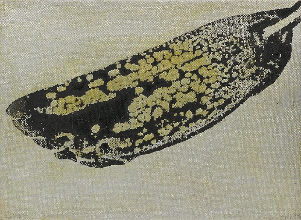 藏品:形象磁場No.3的(20)張圖片