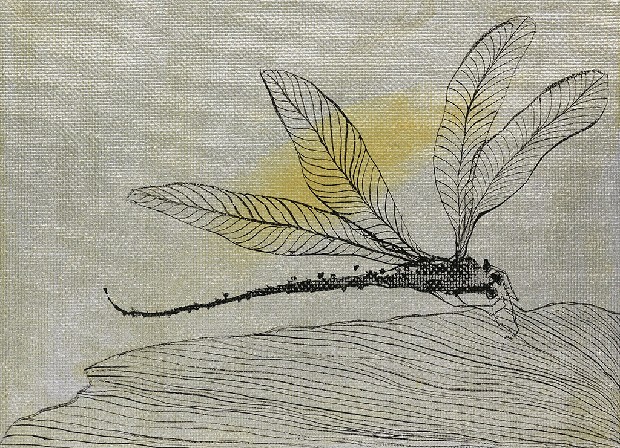 藏品:形象磁場No.3的(47)張圖片