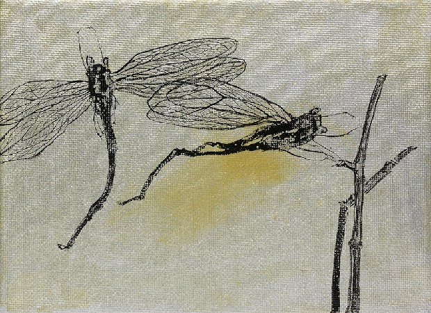 藏品:形象磁場No.3的(48)張圖片