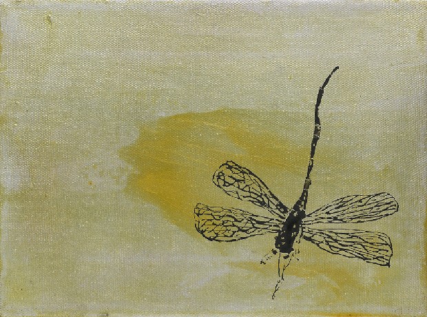 藏品:形象磁場No.3的(55)張圖片