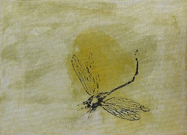 藏品:形象磁場No.3的(56)張圖片