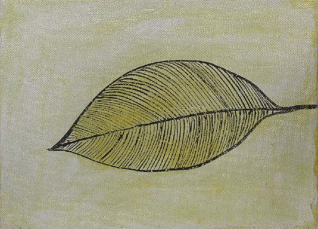 藏品:形象磁場No.3的(62)張圖片