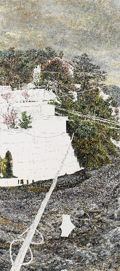 藏品:廬山2000年的(4)張圖片