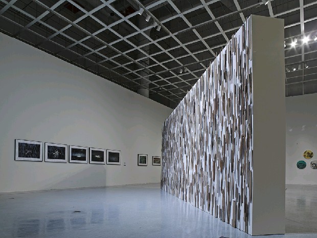 藏品:微弱的美感的(1)張圖片