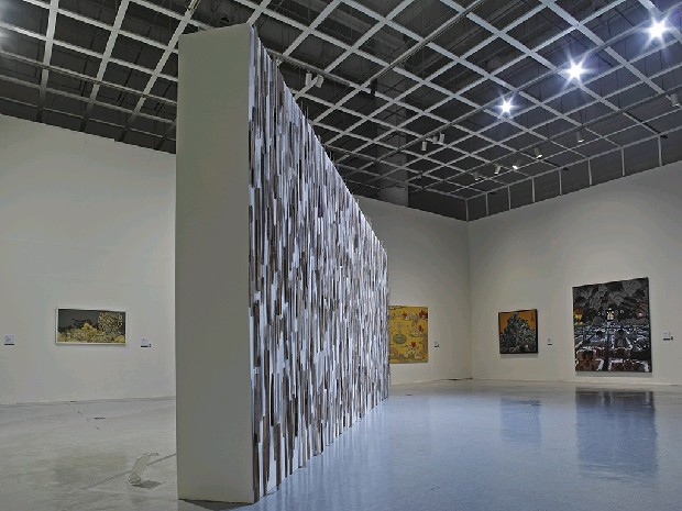 藏品:微弱的美感的(2)張圖片