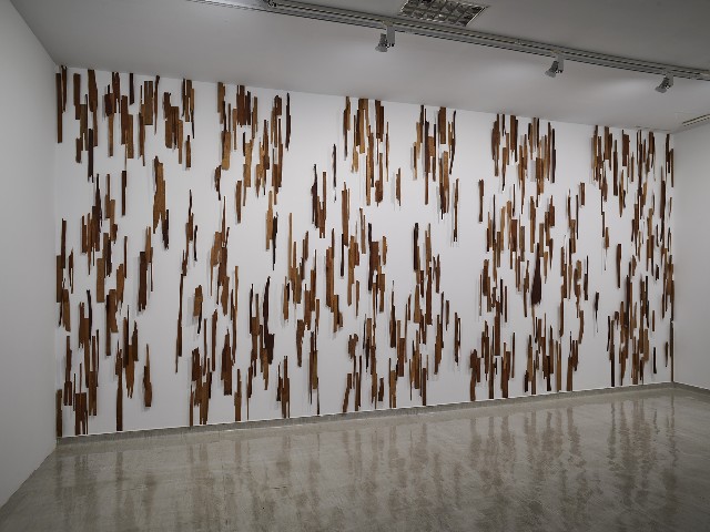 藏品:微弱的美感的(4)張圖片