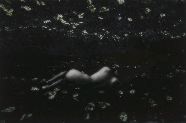 藏品:身體實境的(3)張圖片