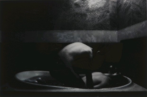 藏品:身體實境的(4)張圖片