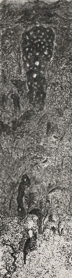 藏品:吞吐煙雲的(1)張圖片