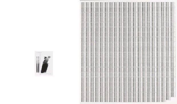 藏品:hyper.data-N°2a  [Diagram], hyper.data-N°2b  [Hex Binary-raw data]的(1)張圖片