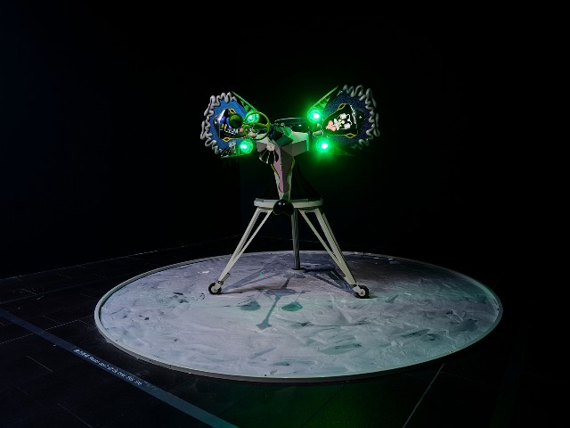 藏品:迷惑的潘朵拉的(2)張圖片