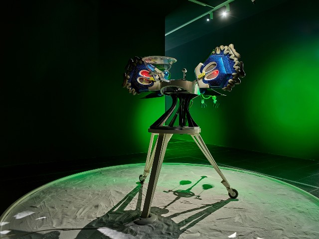 藏品:迷惑的潘朵拉的(4)張圖片