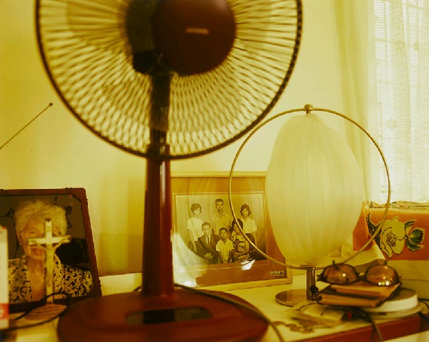 藏品:融合的(5)張圖片