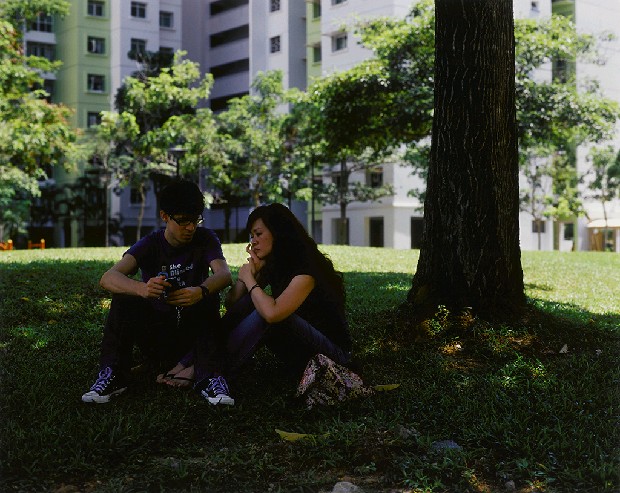 藏品:融合的(9)張圖片