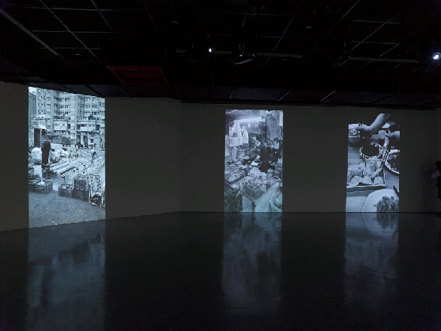 藏品:常規的(1)張圖片