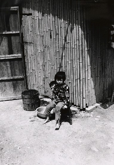 藏品:台北郊區的(1)張圖片