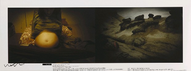 藏品:365天/定幕劇的(18)張圖片