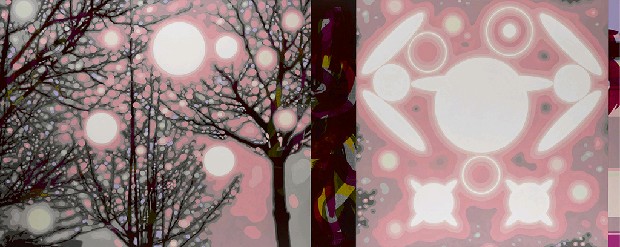 藏品:還原Ⅱ的(1)張圖片