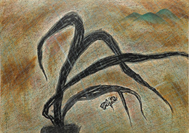 藏品:春雨的(1)張圖片
