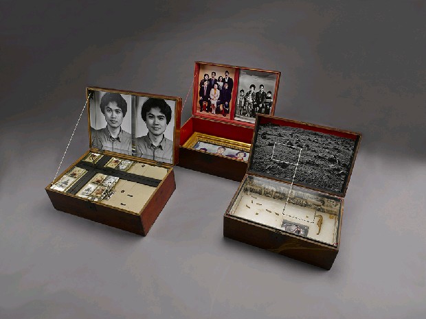 藏品:家族黑盒子的(1)張圖片