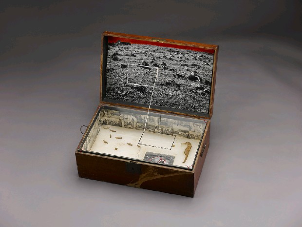 藏品:家族黑盒子的(6)張圖片