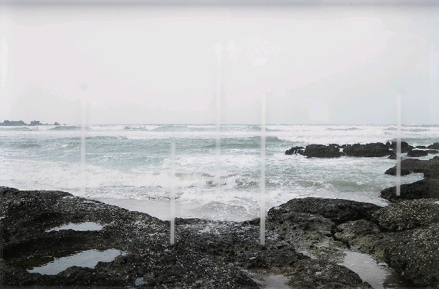 藏品:The Sea的(1)張圖片