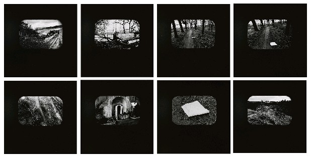 藏品:遙遠國度的(1)張圖片