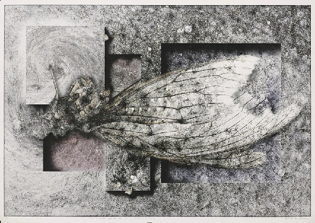 藏品:獻給不會操作電腦的悲慘人們（二）的(1)張圖片