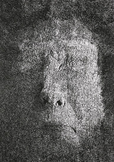 另一個自我之四的焦點圖