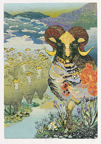 藏品:數羊的(1)張圖片