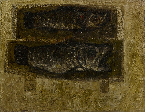 藏品:魚的(1)張圖片