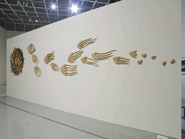 藏品:魚群的訊息的(3)張圖片