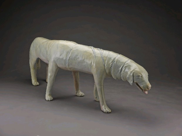 藏品:全景-狗的(3)張圖片