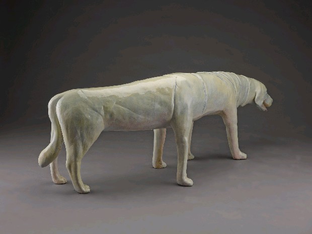 藏品:全景-狗的(4)張圖片