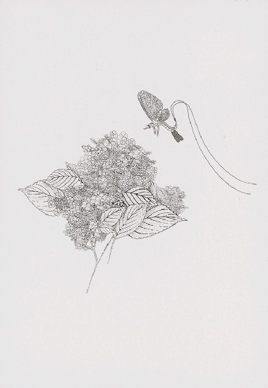 藏品:花草偈3的(3)張圖片