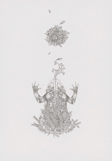 藏品:花草偈3的(6)張圖片