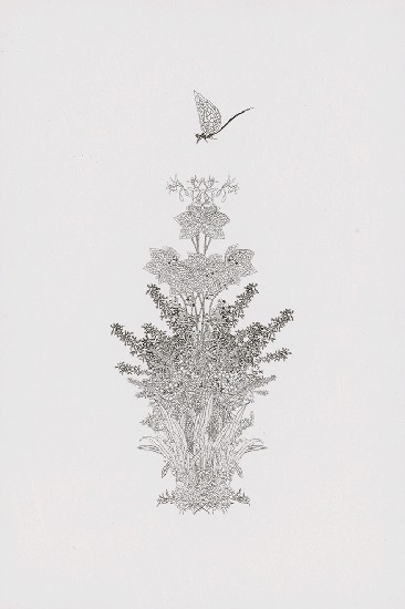 藏品:花草偈3的(10)張圖片