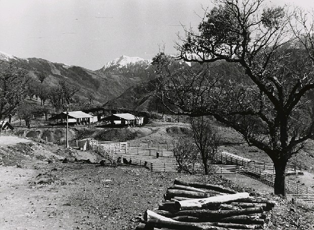 藏品:高山古情-初貌乍現的見晴農場（清境農場）的(1)張圖片