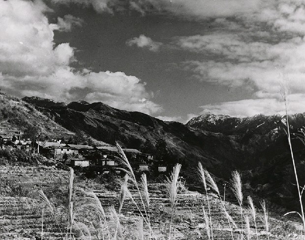 藏品:高山古情-松崗之秋的(1)張圖片