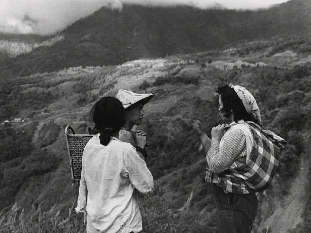 藏品:高山古情-閒話家常的(1)張圖片