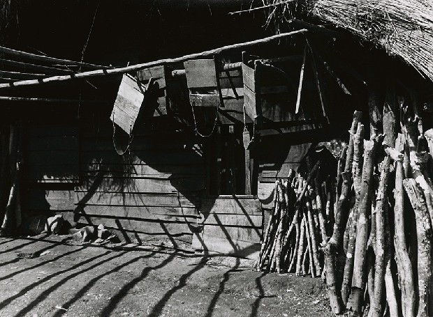 藏品:高山古情-農閒的後院的(1)張圖片