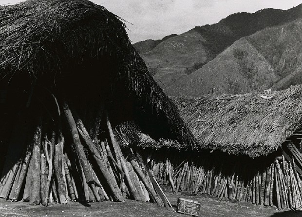 藏品:高山古情-佳陽部落的(1)張圖片